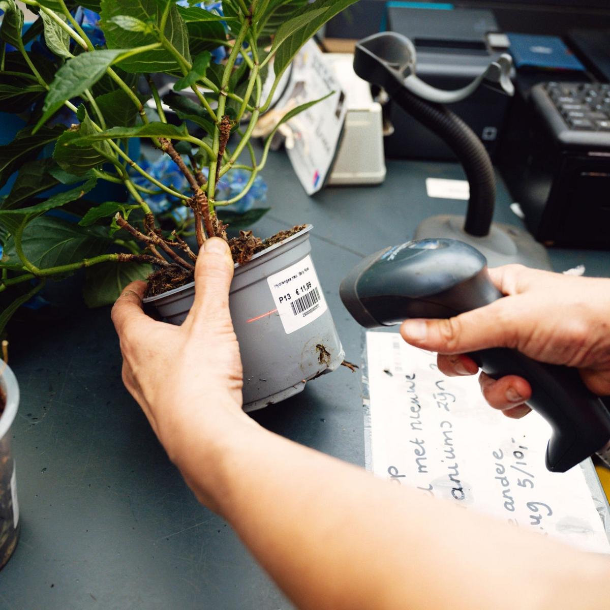 Hand die een plant vasthoudt en met de andere hand een scanner waar een barcode mee wordt gescand.