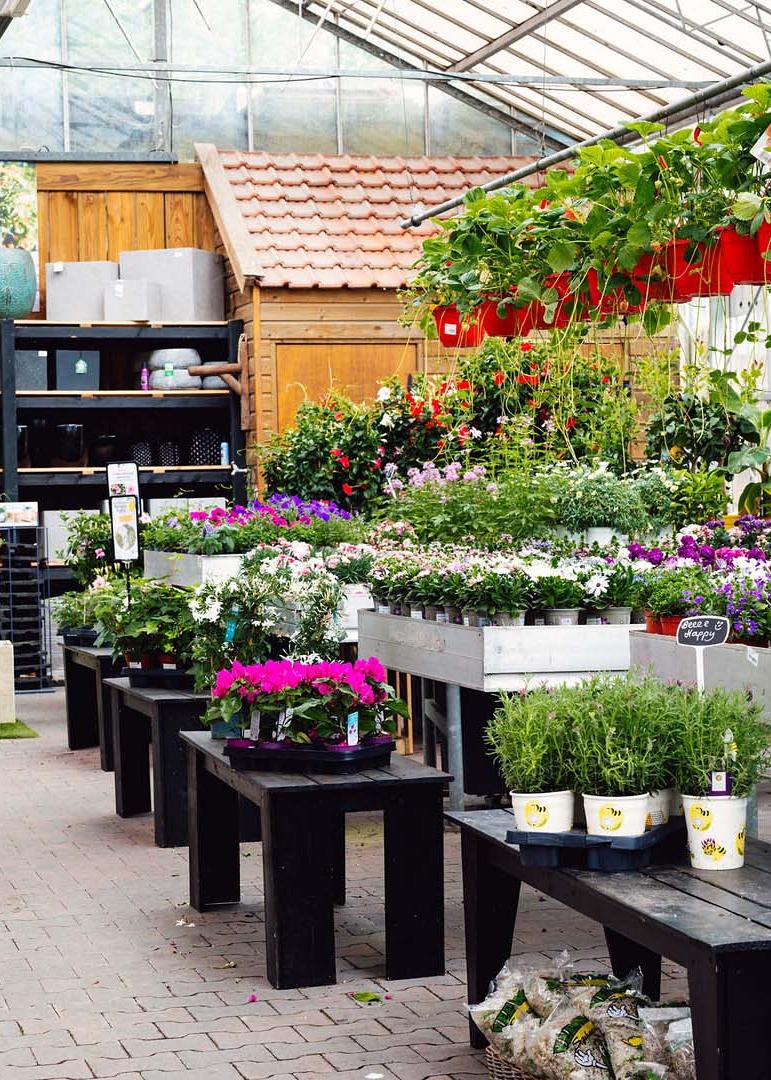  Binnenruimte van een tuincentrum met schappen en tafels met verschillende bloemen, planten en plantenbakken.