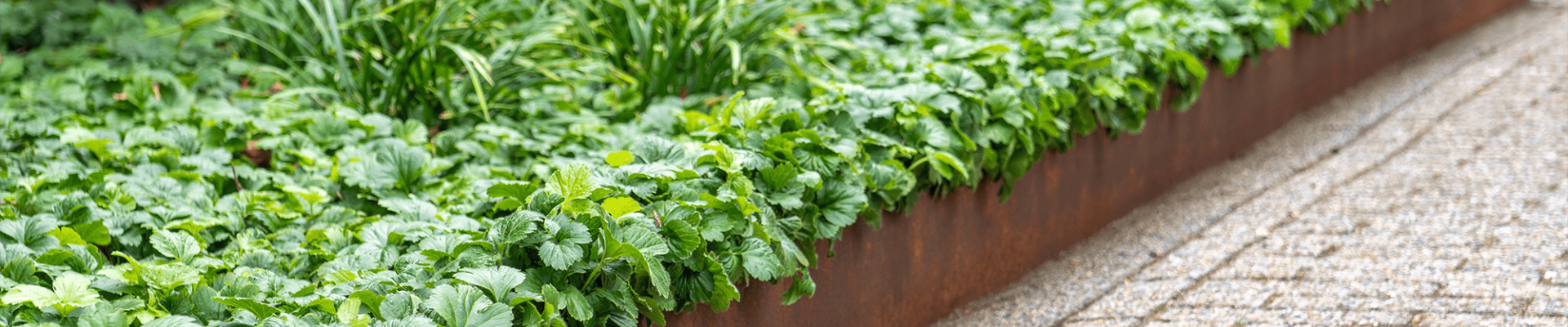 1048 mysteel   sfeerbeeld   borderranden