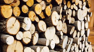 172 lilian fotografie bedrijfsfotoshoot smart trade noordwijkerhout bax hout terheijden 2024 04 23